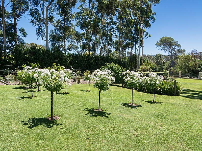 20 Pike Street, Oakbank SA 5243