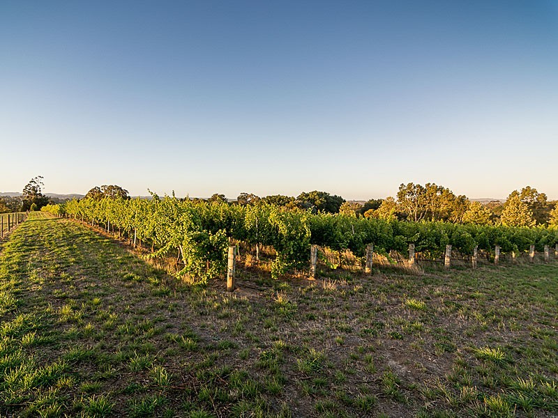 20 Pike Street, Oakbank SA 5243