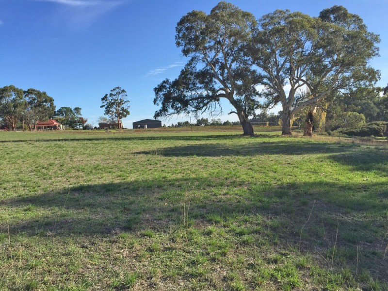 Lot 50 Pfeiffer Road, Woodside SA 5244