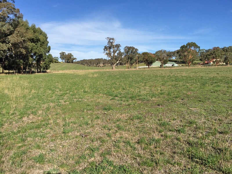 Lot 50 Pfeiffer Road, Woodside SA 5244