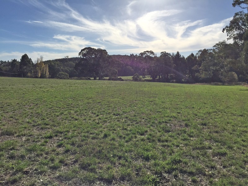 Lot 50 Pfeiffer Road, Woodside SA 5244