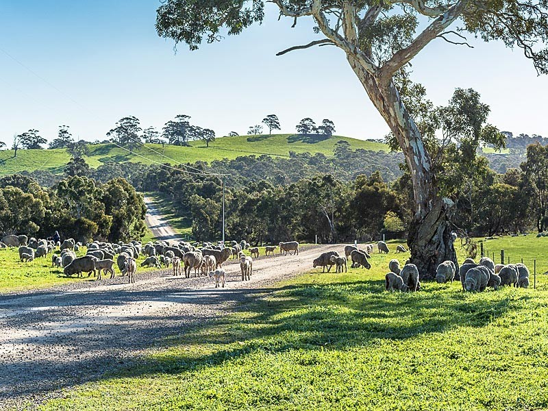 Lots Brice Drive, Woodside SA 5244