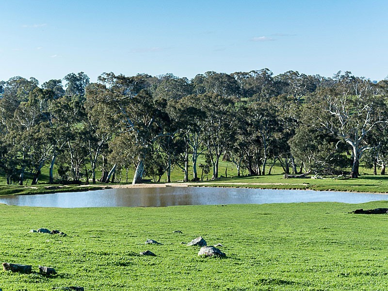 Lots Brice Drive, Woodside SA 5244