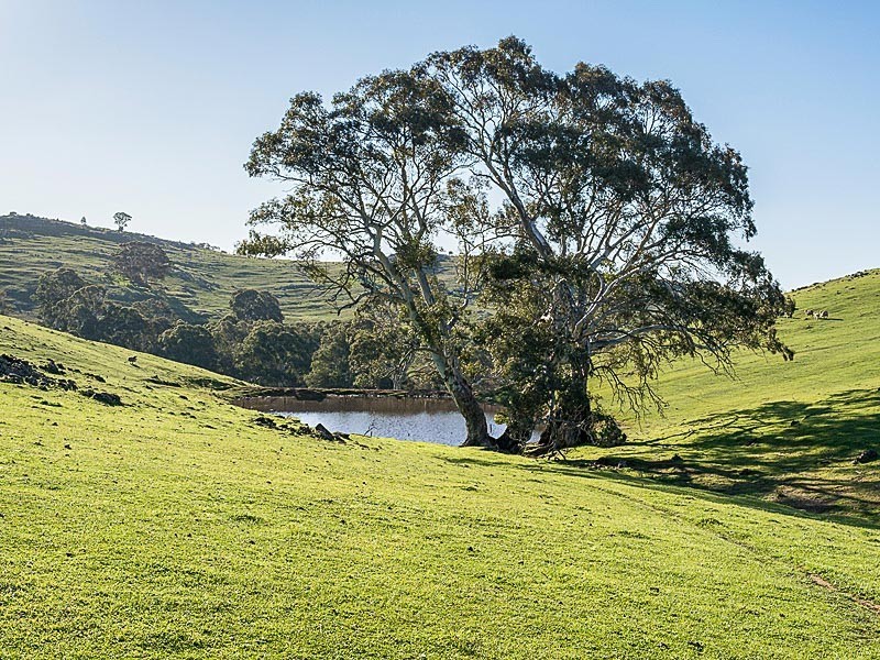 Lots Brice Drive, Woodside SA 5244