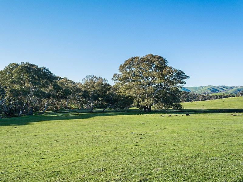 Lots Brice Drive, Woodside SA 5244