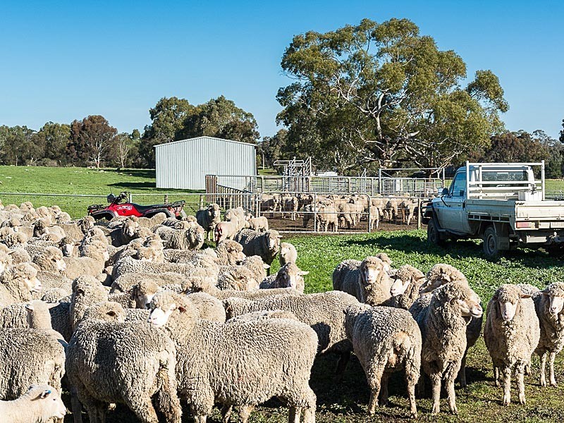 Lots Brice Drive, Woodside SA 5244