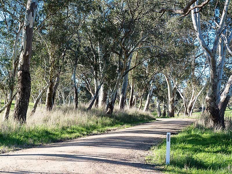 Lots Brice Drive, Woodside SA 5244