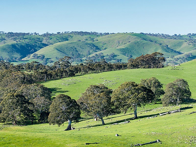 Lots Brice Drive, Woodside SA 5244