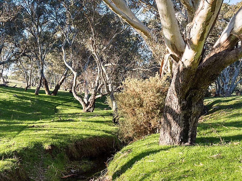 Lots Brice Drive, Woodside SA 5244