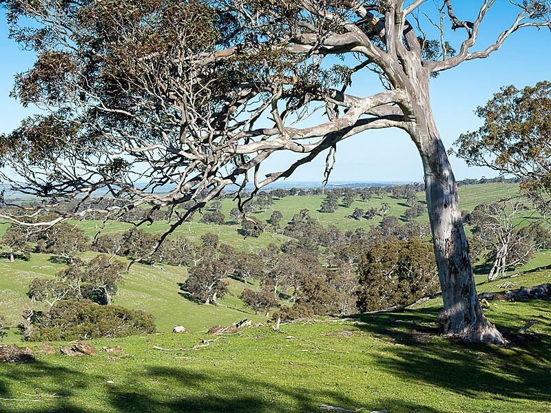 Lots Brice Drive, Woodside SA 5244