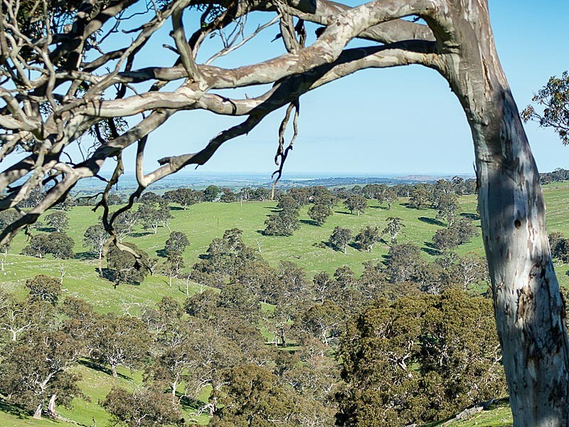 Lots Brice Drive, Woodside SA 5244