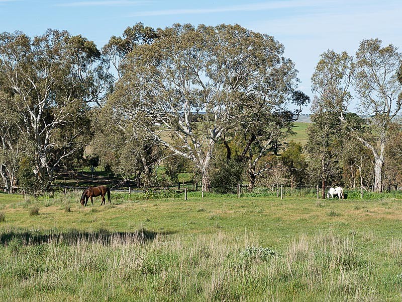 409 Harrogate Road, Brukunga SA 5252