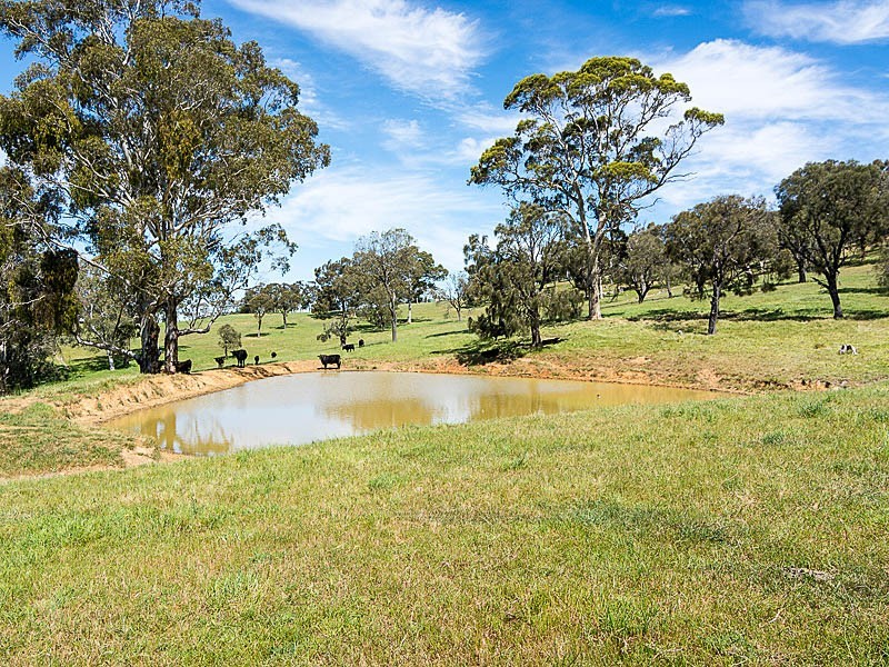 69 Easlea Road, Littlehampton SA 5250