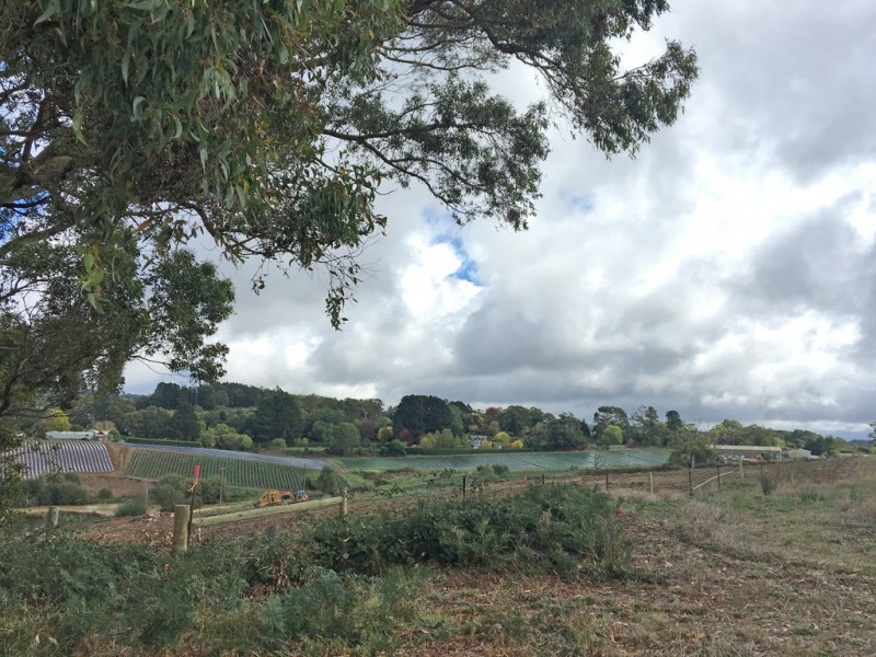 Lot 211 Sharps Road, Carey Gully SA 5144