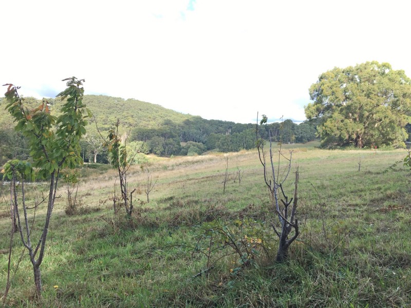 Lot 211 Sharps Road, Carey Gully SA 5144