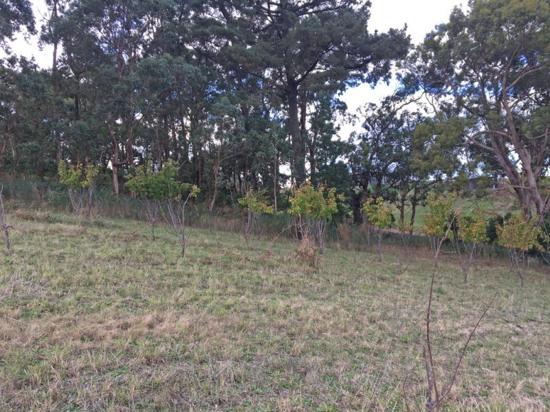 Lot 211 Sharps Road, Carey Gully SA 5144