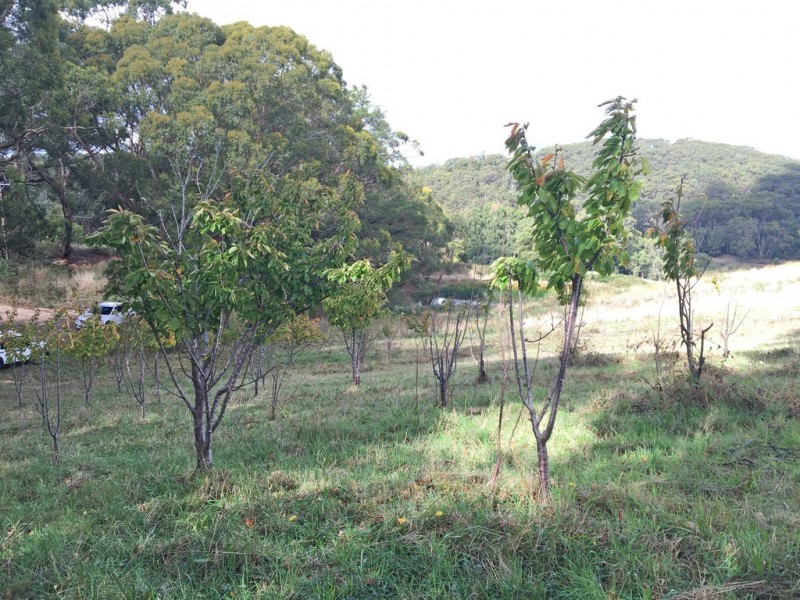 Lot 211 Sharps Road, Carey Gully SA 5144