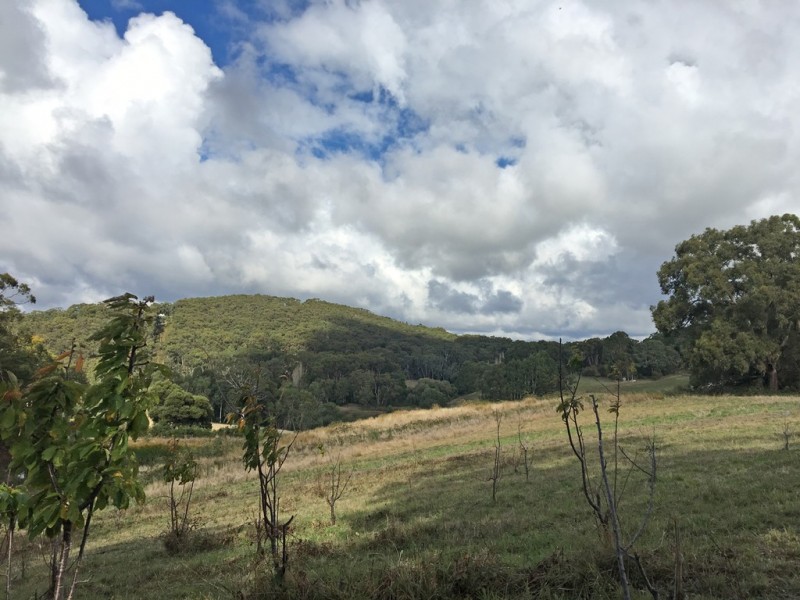 Lot 211 Sharps Road, Carey Gully SA 5144