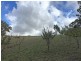 Lot 211 Sharps Road, Carey Gully SA 5144