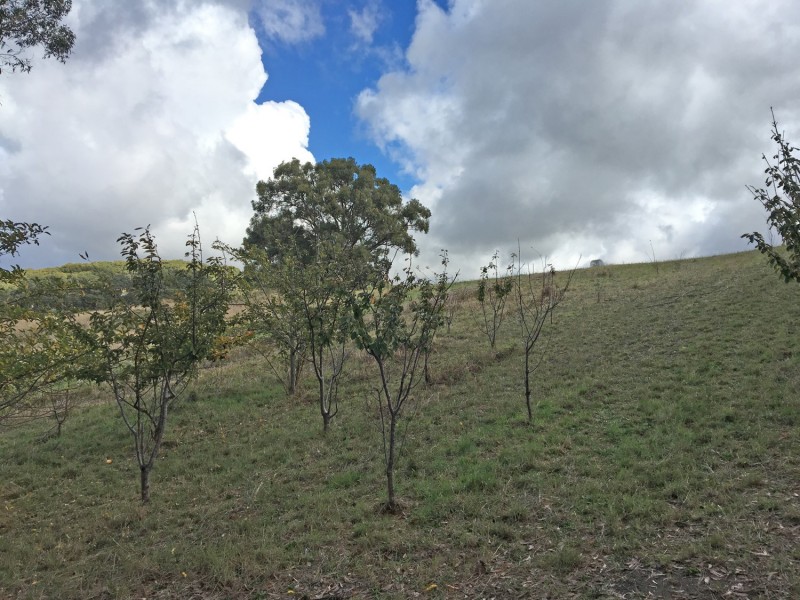 Lot 211 Sharps Road, Carey Gully SA 5144