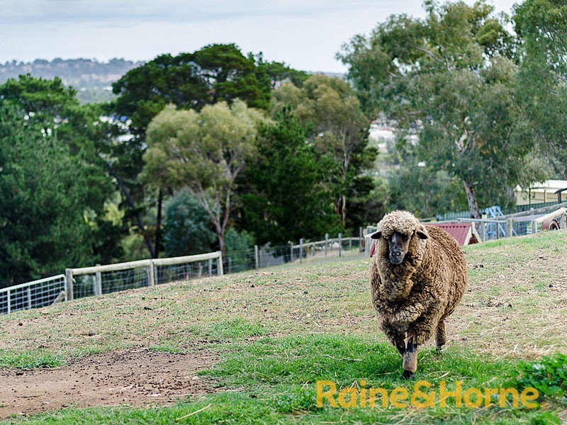 8 Dalmeny Drive, Mount Barker SA 5251