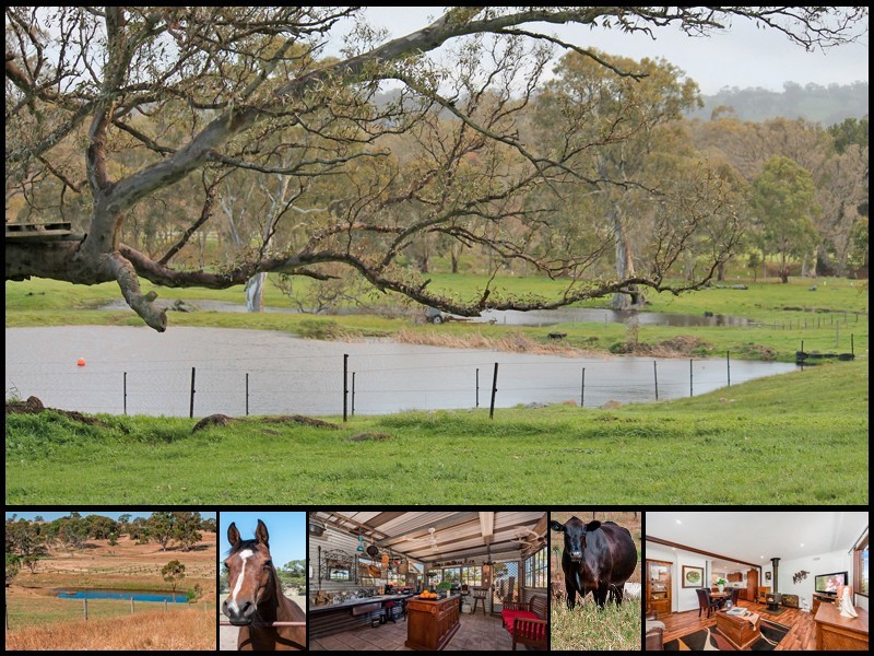 100 Black Snake Road, Birdwood SA 5234