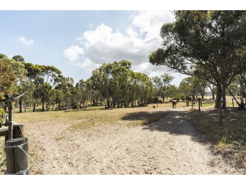 100 Black Snake Road, Birdwood SA 5234