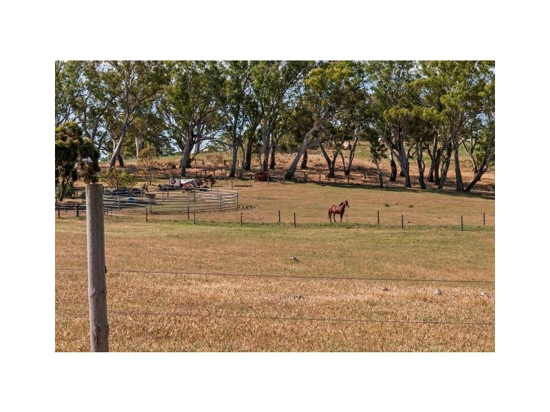 100 Black Snake Road, Birdwood SA 5234