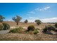 38 MacDonnell Tce, Springton SA 5235