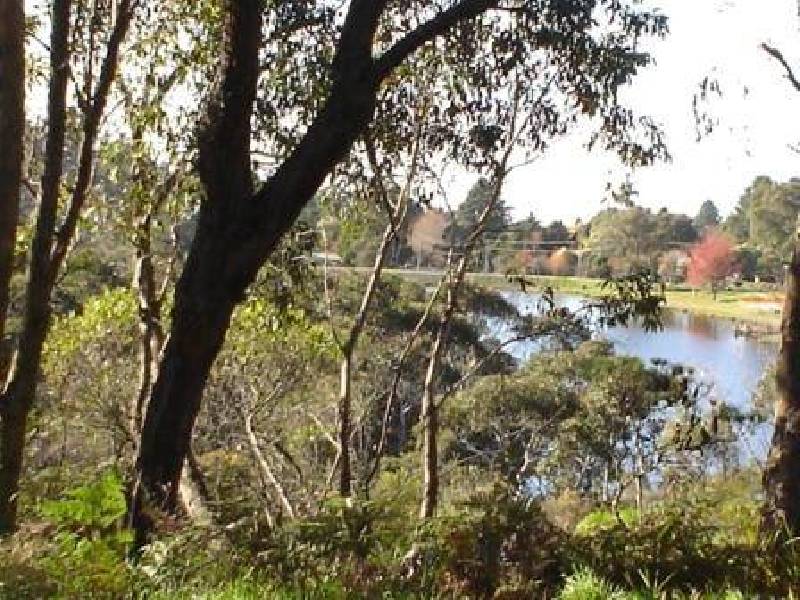 70 Banksia Road, Wentworth Falls NSW 2782