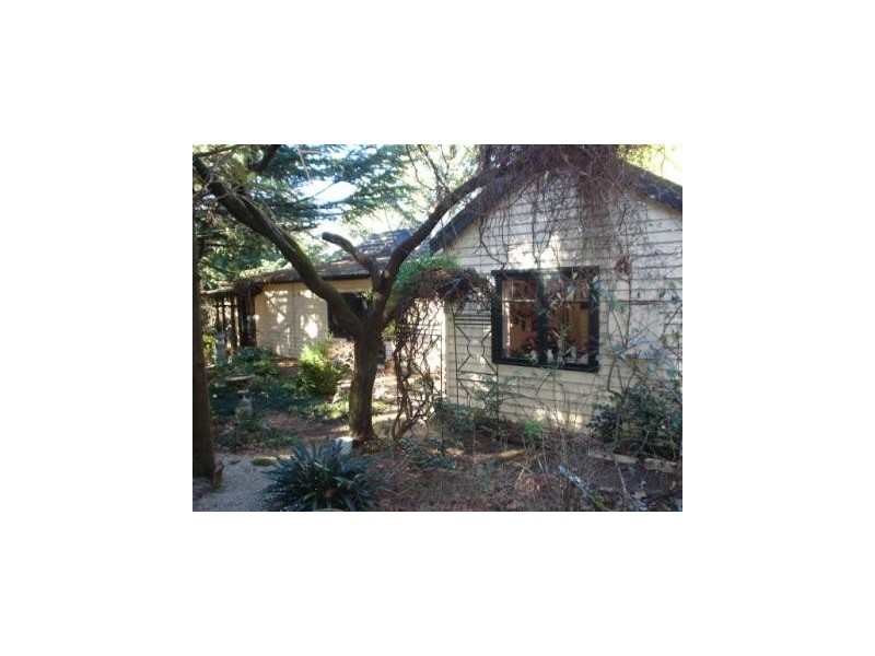 Wentworth Falls NSW 2782