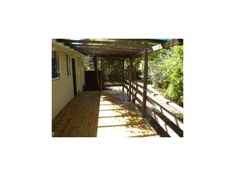 99 Henderson Road, Wentworth Falls NSW 2782