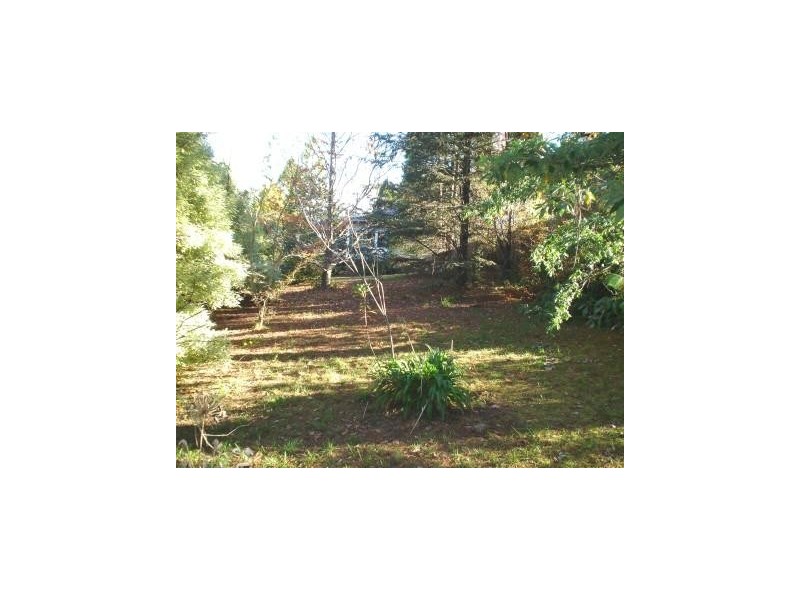 Wentworth Falls NSW 2782