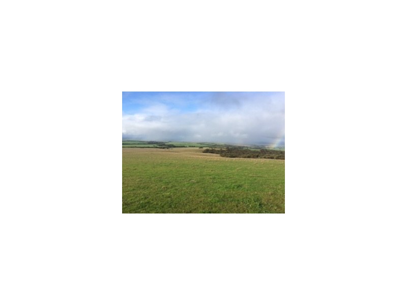 Lot 302 Hd of Mortlock, Edillilie SA 5630