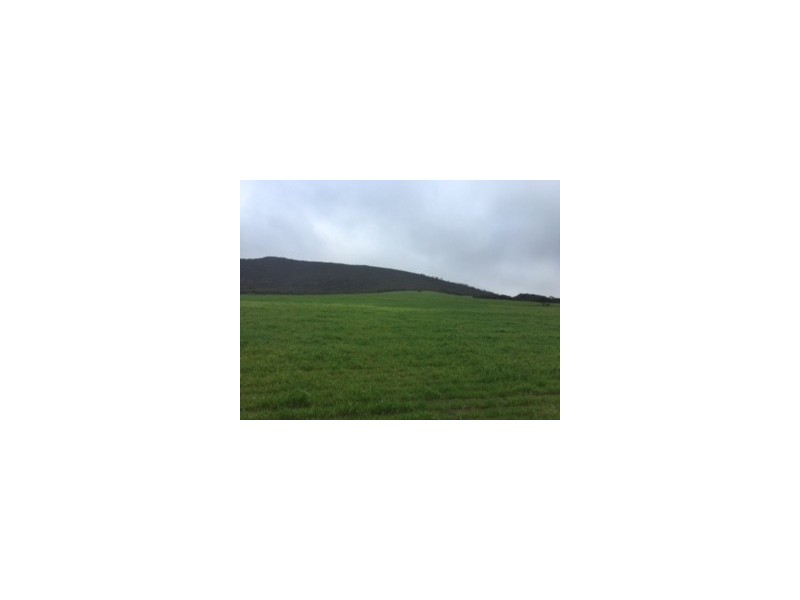 Lot 302 Hd of Mortlock, Edillilie SA 5630