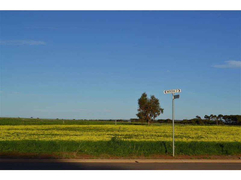 14 Natasha Drive, Poonindie SA 5607