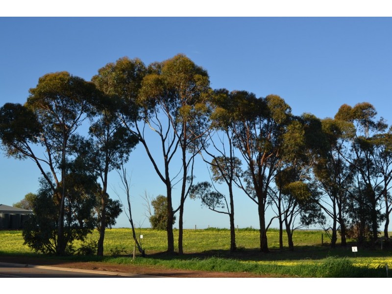 14 Natasha Drive, Poonindie SA 5607