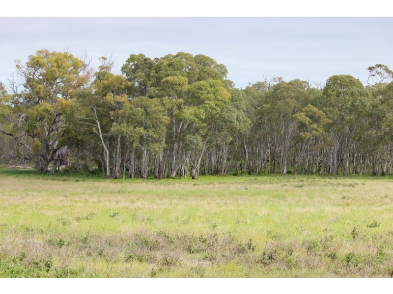 Lots 102 and 104 Eucalyptus Drive, Coulta SA 5607