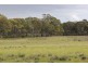 Lots 102 and 104 Eucalyptus Drive, Coulta SA 5607