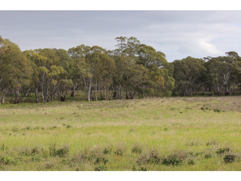 Lots 102 and 104 Eucalyptus Drive, Coulta SA 5607