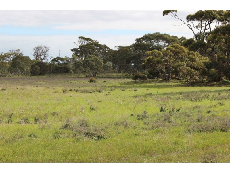 Lots 102 and 104 Eucalyptus Drive, Coulta SA 5607