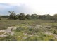 Lots 102 and 104 Eucalyptus Drive, Coulta SA 5607