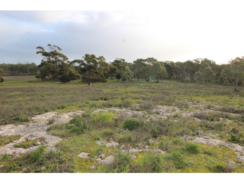 Lots 102 and 104 Eucalyptus Drive, Coulta SA 5607