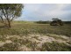 Lots 102 and 104 Eucalyptus Drive, Coulta SA 5607