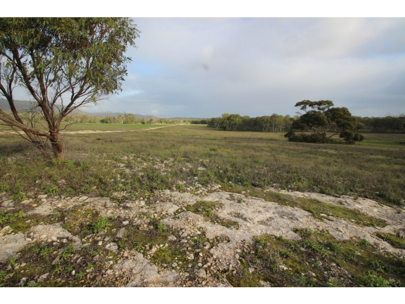 Lots 102 and 104 Eucalyptus Drive, Coulta SA 5607