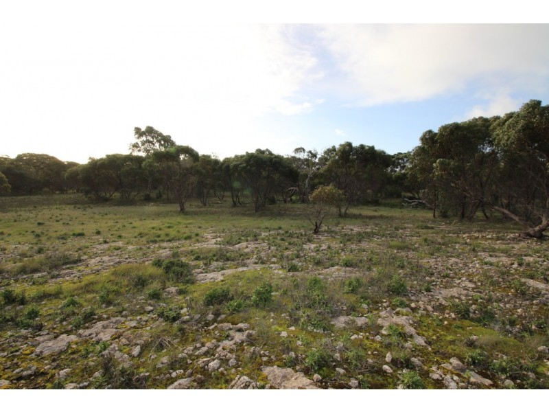 Lots 102 and 104 Eucalyptus Drive, Coulta SA 5607