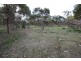 Lots 102 and 104 Eucalyptus Drive, Coulta SA 5607