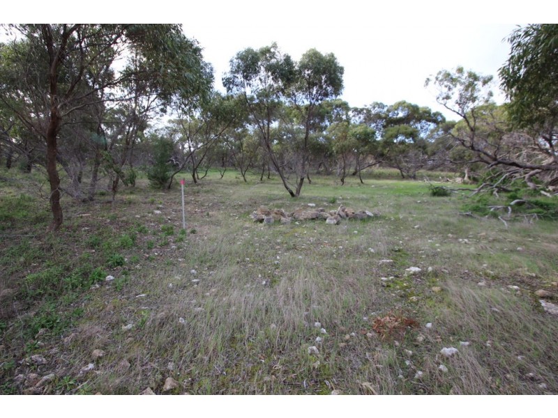Lots 102 and 104 Eucalyptus Drive, Coulta SA 5607