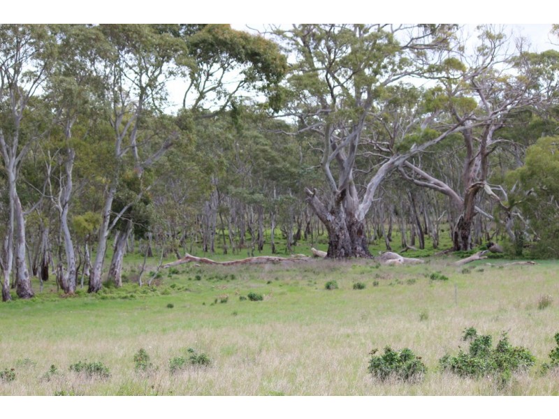 Lots 102 and 104 Eucalyptus Drive, Coulta SA 5607