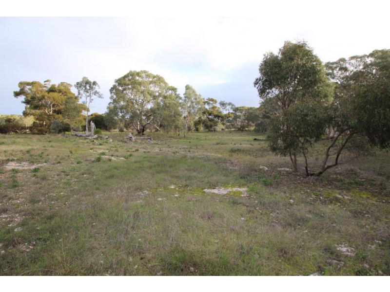 Lots 102 and 104 Eucalyptus Drive, Coulta SA 5607